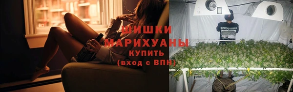прущий лед Пестово