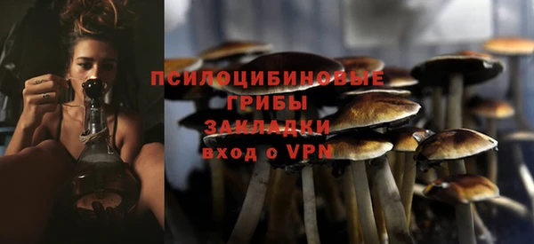 прущий лед Пестово